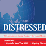 Southeast Asia Distressed Debt Insider - May 2013