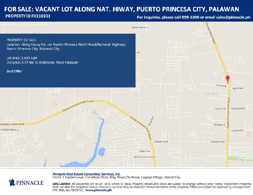  Vacant Lot Along Casuy Rd Cor Puerto Princesa North Road National Hiway Puerto Princesa City Palawan