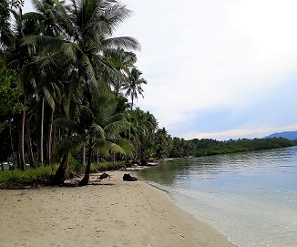 Beach Lot in Pamoayan Beach San Vicente Palawan