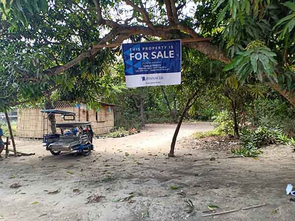 Residential Lot in Bauan, Batangas for Sale