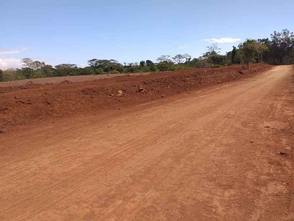 1 Hectare Agriculture Lot for Sale in Dasmarinas Cavite