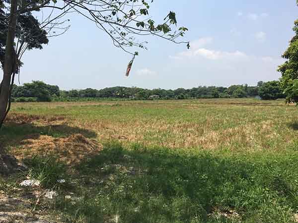 Vacant Agricultural Lot for Sale in Sta. Rita, Pampanga