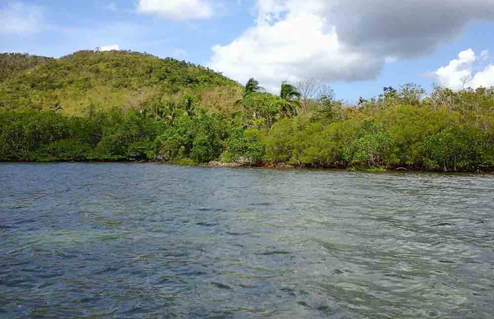 Agricultural Lot for Sale in Culion, Palawan