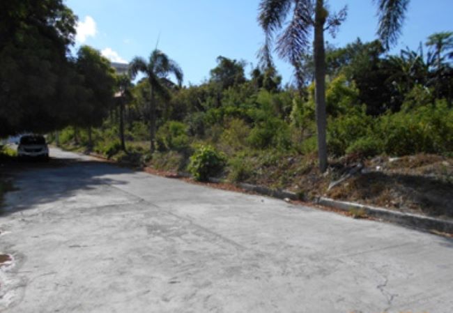 Residential Lot for Sale in  Brgy. Palocan West, Batangas
