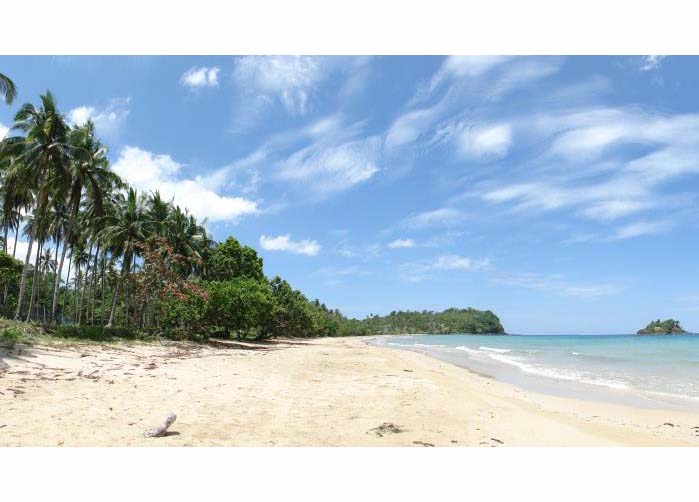 Beach Lot for Sale in Napsan Beach, Puerto Princesa