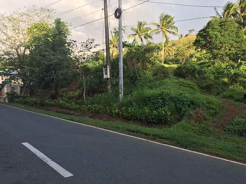 Raw Lands for sale in the Philippines