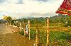 Vacant Lot for Sale in Malaybalay, Bukidnon
