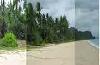 21 Hectare Beach Land for Sale in San Vicente, Palawan