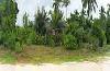 21 Hectare Beach Land for Sale in San Vicente, Palawan
