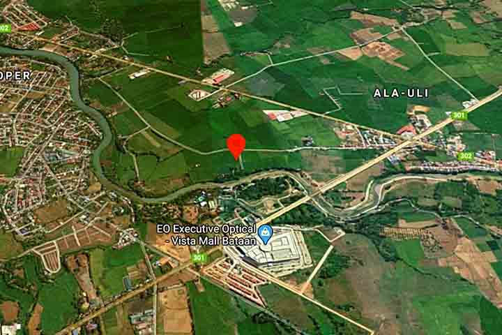 9.1-hectare Vacant Lot for Sale in Pilar, Bataan