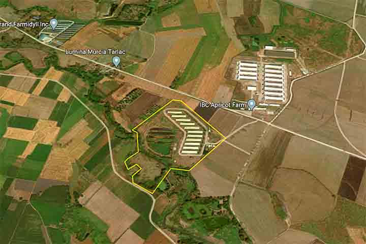 13.5-hectare Farm for Sale in Concepcion, Tarlac