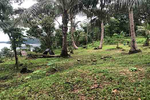 Vacant Lot for Sale in Buruanga, Aklan