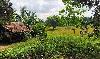 Developable Land for Sale in Capas, Tarlac