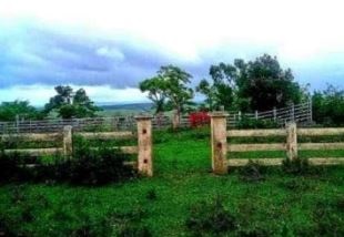 Agricultural Lot for Sale in Mandaon, Masbate