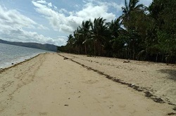 Beach Lot for Sale in Busuanga, Palawan