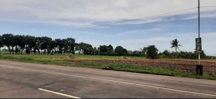Agricultural Lot for Sale in Magalona, Negros Occidental