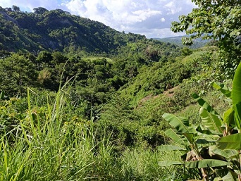 Developable raw land for Sale in Antipolo, Rizal