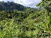 Developable raw land for Sale in Antipolo, Rizal