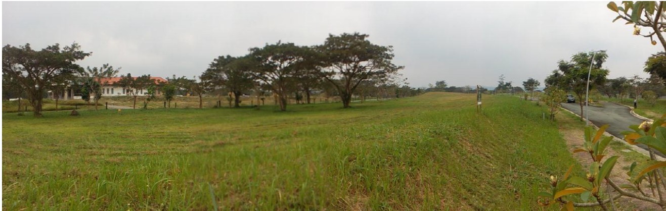 Vacant Lot for Sale in Elaro Nuvali