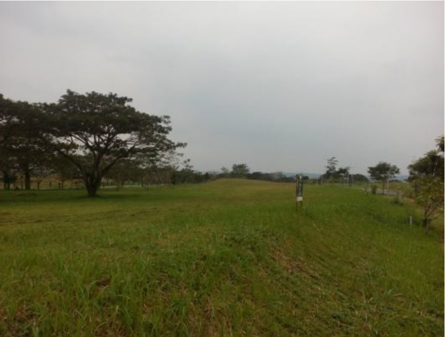 Vacant Lot for Sale in Elaro Nuvali