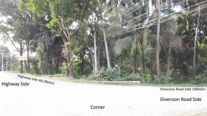 Commercial lot for Sale in Agusan Del Norte