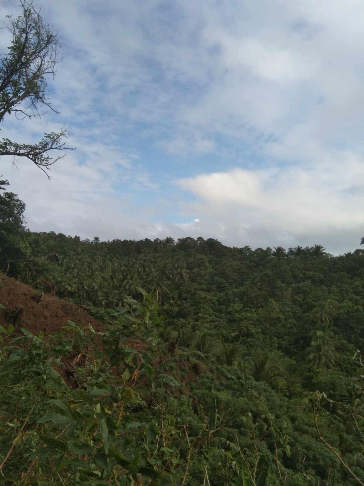 Rawland for Sale in Quezon province