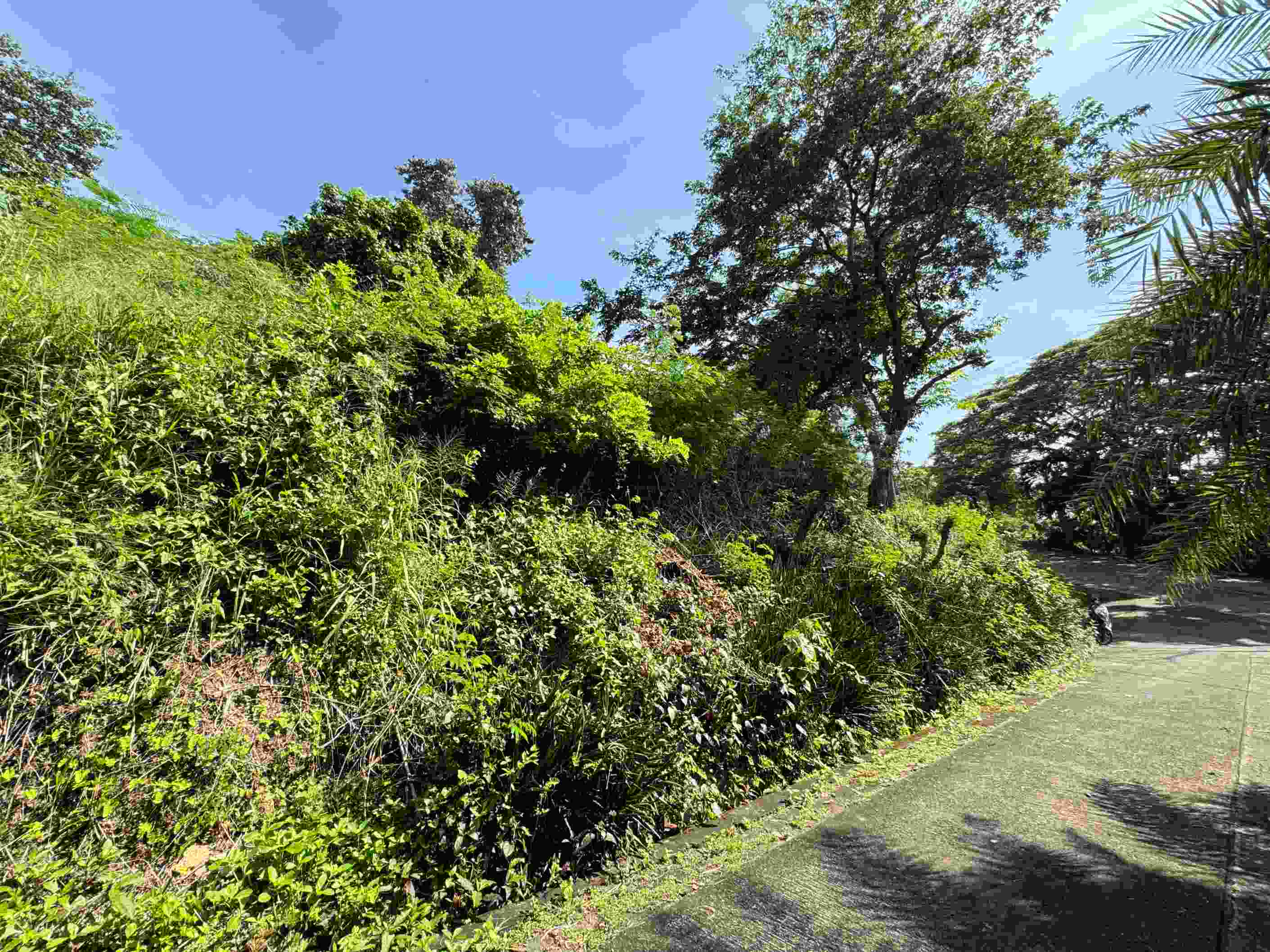 Vacant Lot for Sale in Maya Maya Nasugbu, Batangas