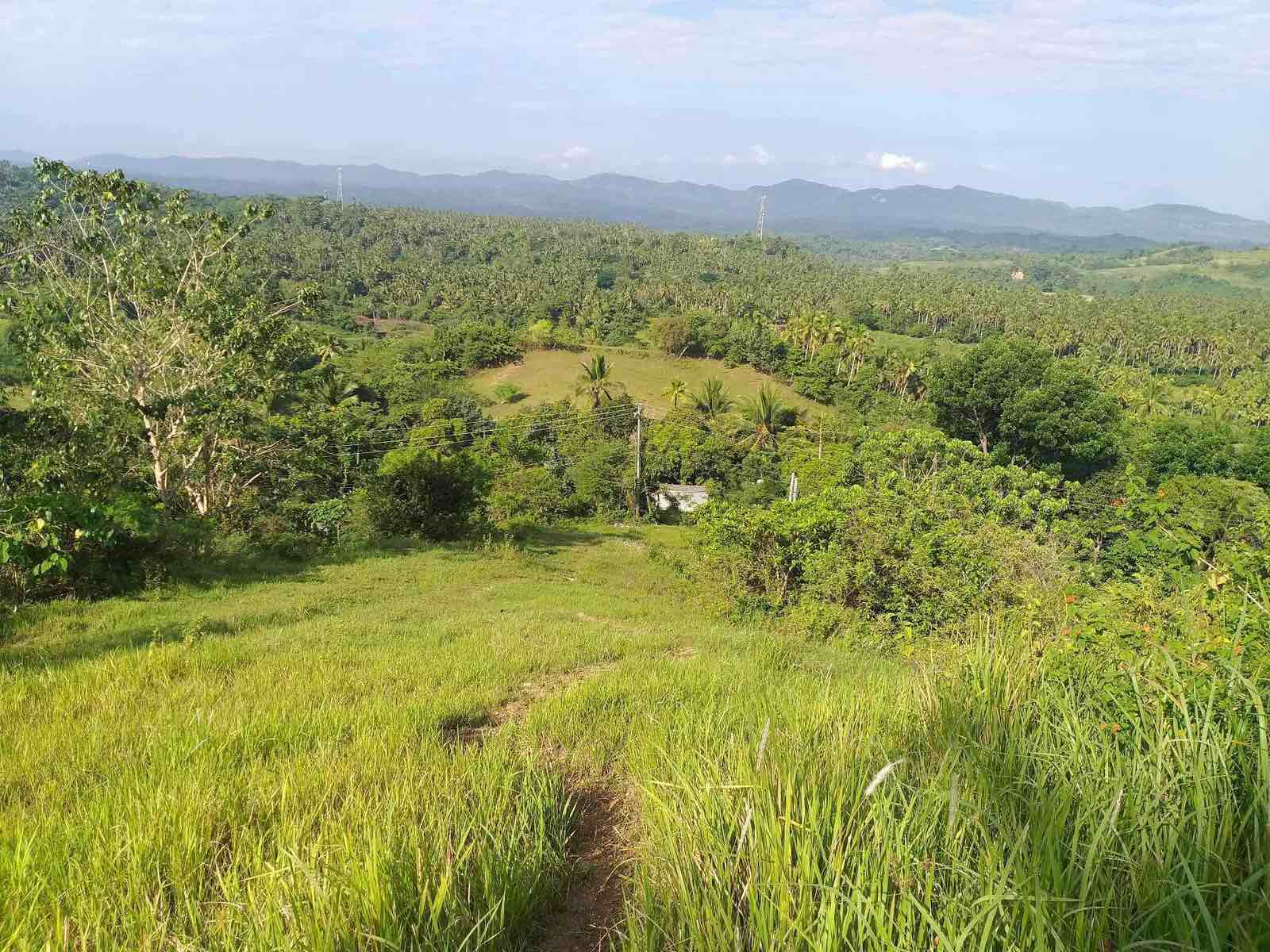 Farm Lot for sale in Ligao Albay ,Bicol