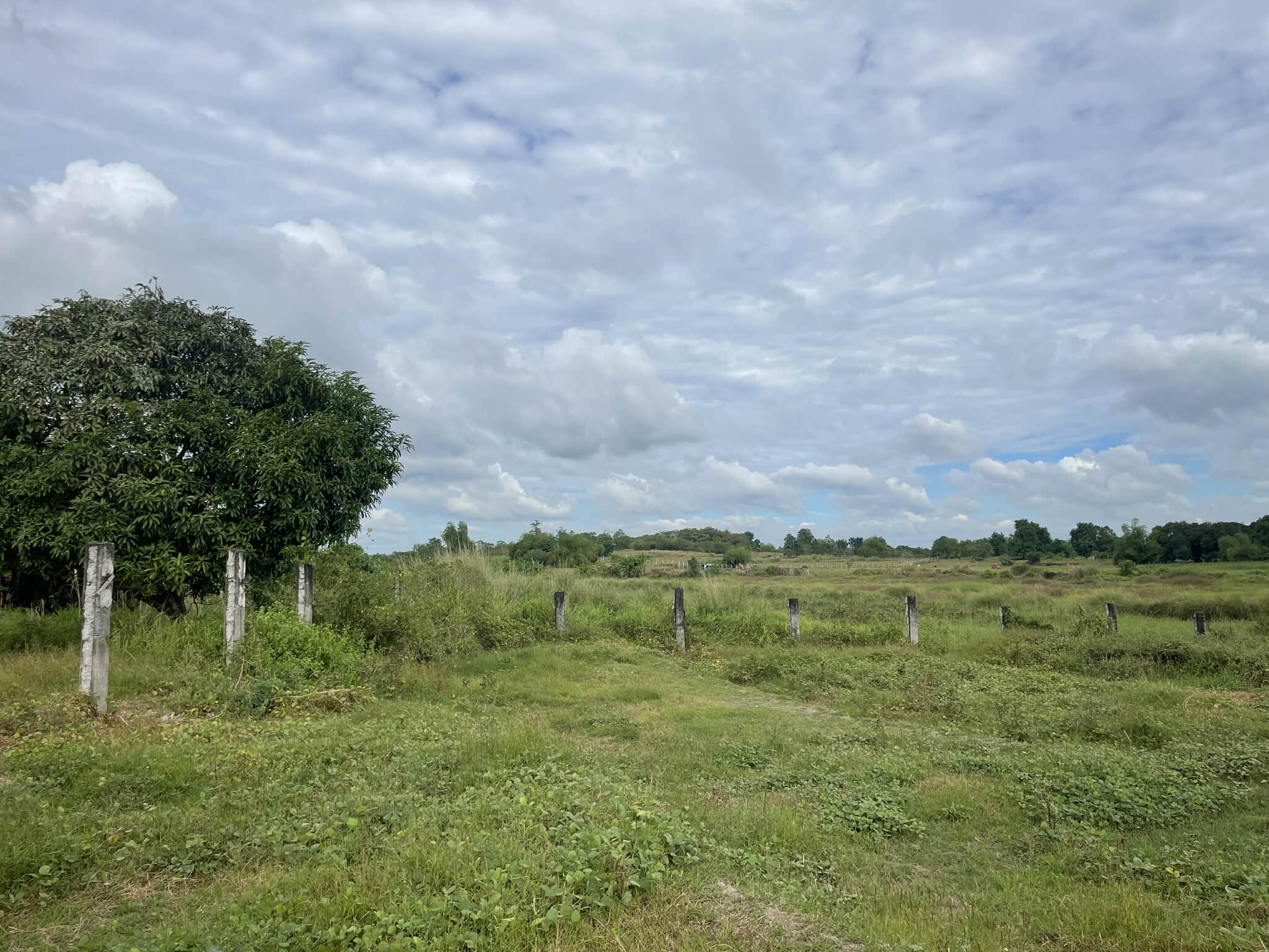 Lot for sale in Capas, Tarlac