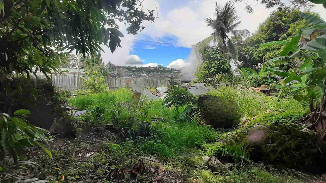 Vacant Lot for sale in Cebu City, Cebu