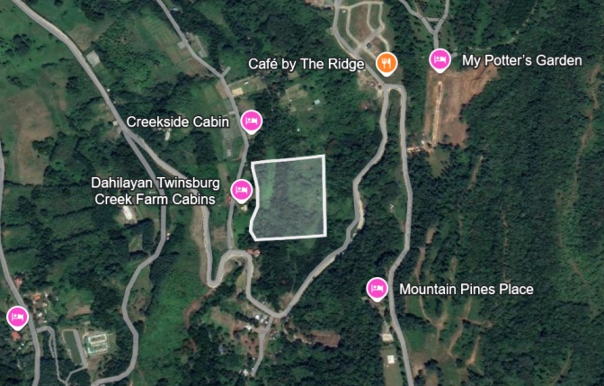 Lot for sale in Manolo Fortich, Bukidnon