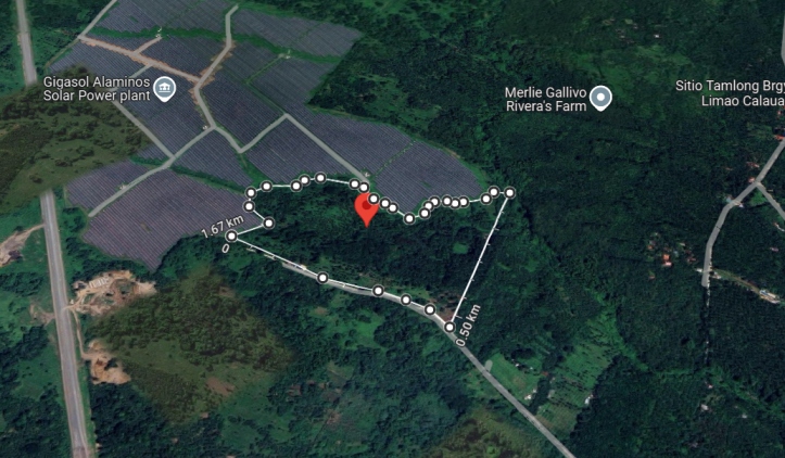 10 Hectares lot for sale in Alaminos, Laguna