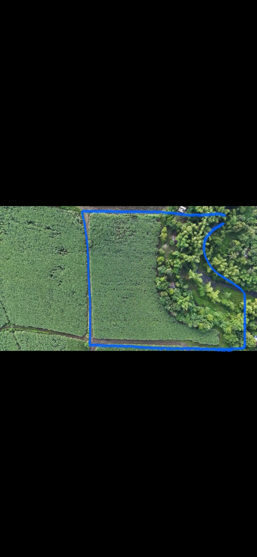 2 Hectares lot for sale in Granada, Bacolod