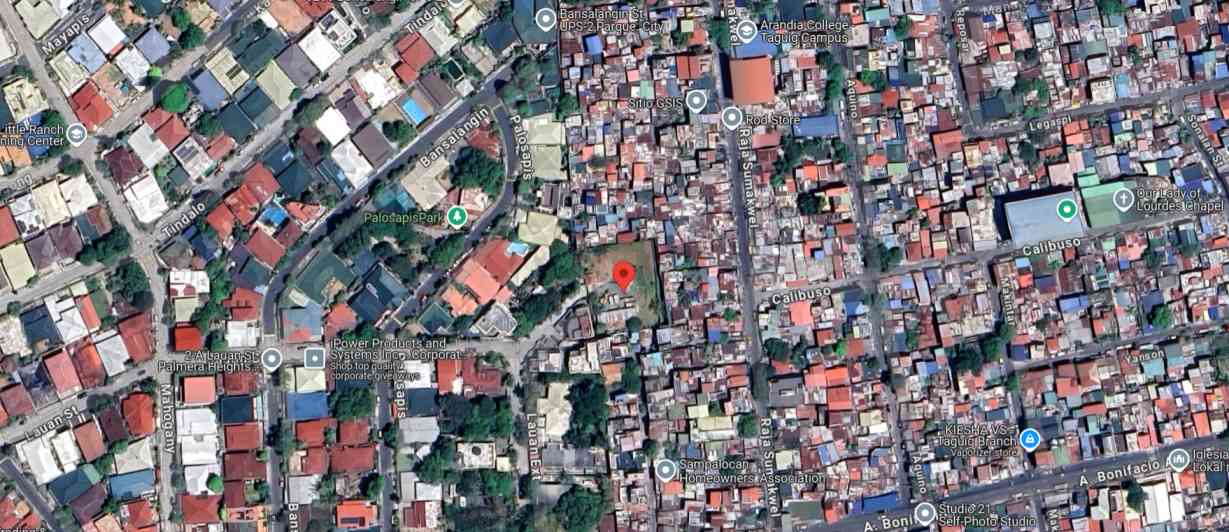Vacant Lot for sale in Upper Bicutan, Paranaque City