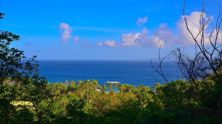 Lot for sale in Puerto Galera