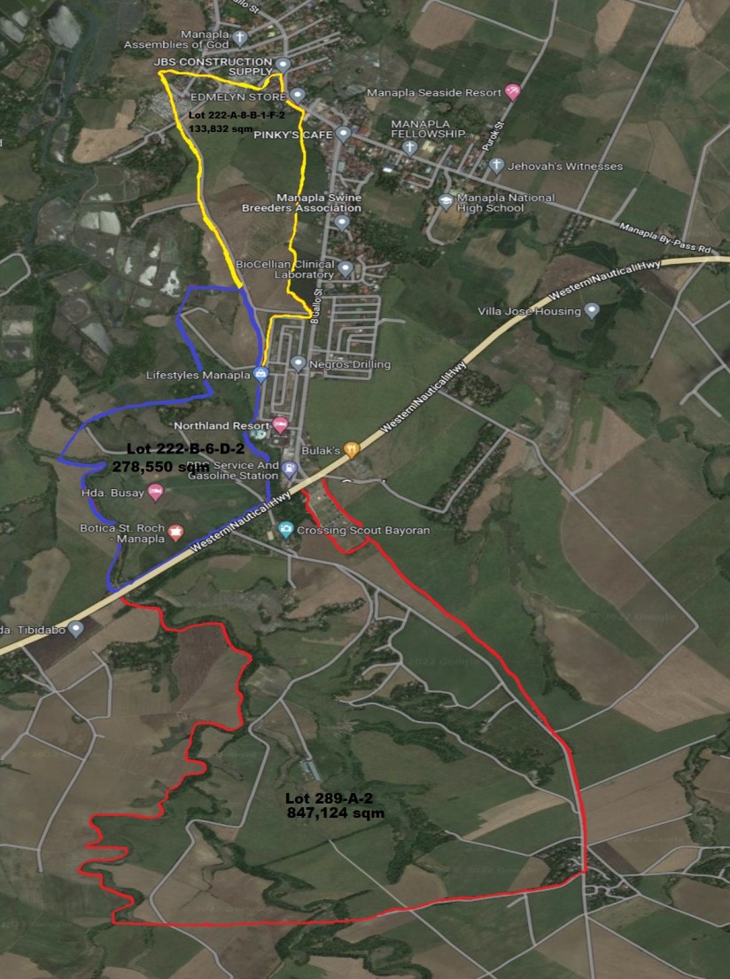 100 hectares for sale in Manapla, Negros Occidental