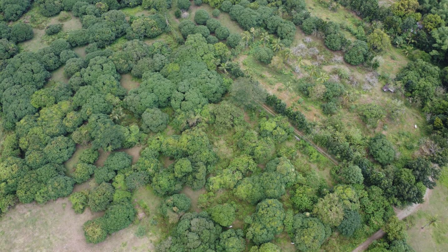 Rawland for sale in Mahabang Dahilag, Batangas City