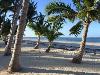 Beach Lot for sale in Bantayan Island, Cebu