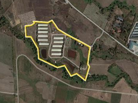 Farm lot with improvements for sale in San Agustin, Concepcion Tarlac