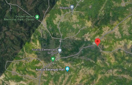 13.1 Hectares Lot for sale in Acacia, Buhangin, Davao