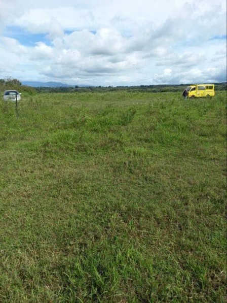 28.1 hectares lot for sale in Kalugmanan, Manolo Fortich, Bukidnon