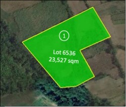 Rawland for sale in Tanauan, Batangas