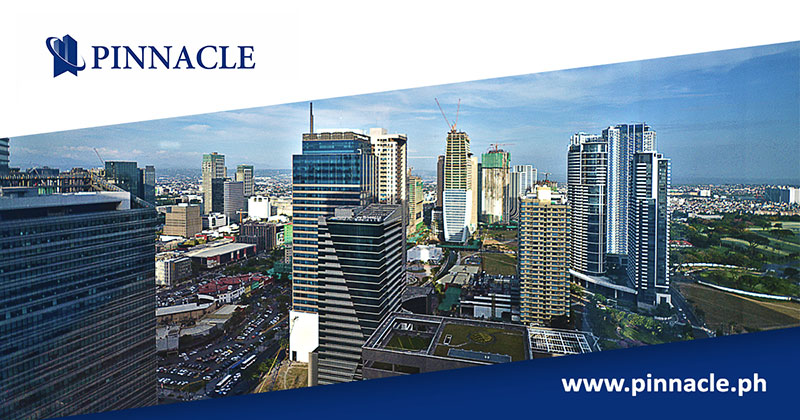 Pinnacle Real Estate Consulting Services Account Tracker